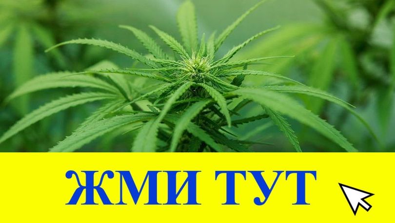 Купить наркотики в Тынде