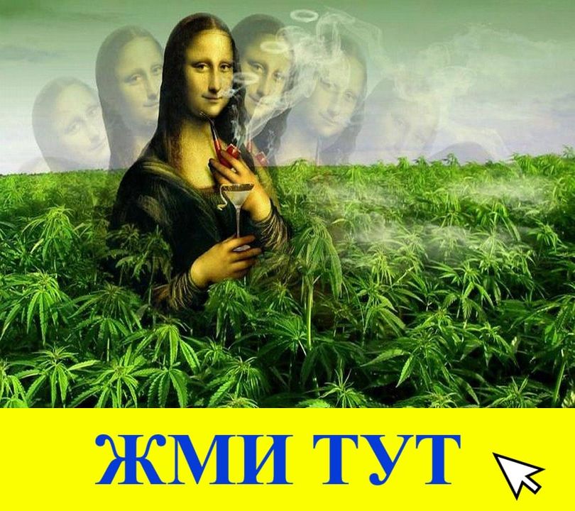 Купить наркотики в Тынде